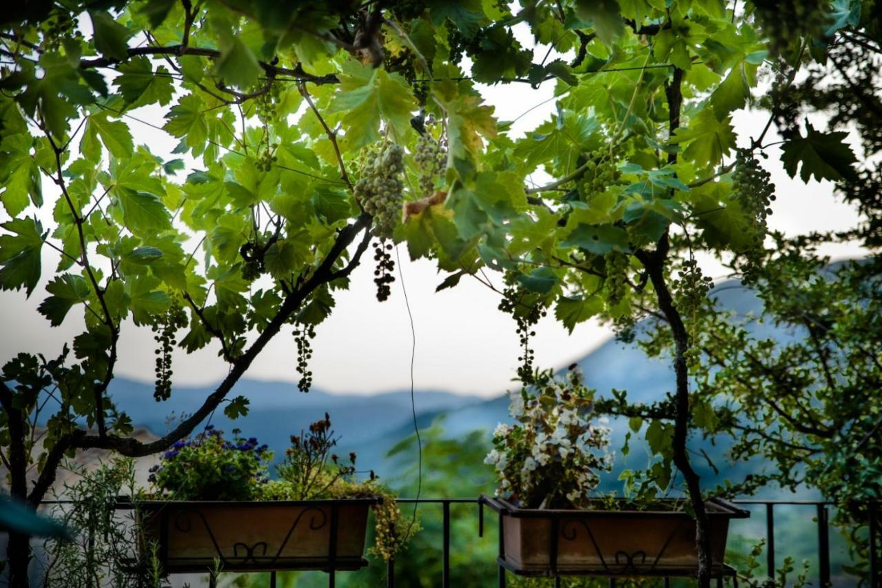 Lavistadeisogni Filippone Селано Экстерьер фото
